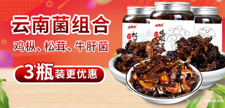 云南特产鸡纵油鸡枞菌松茸菌牛肝菌3瓶 蘑菇即食小吃香菇酱下饭菜