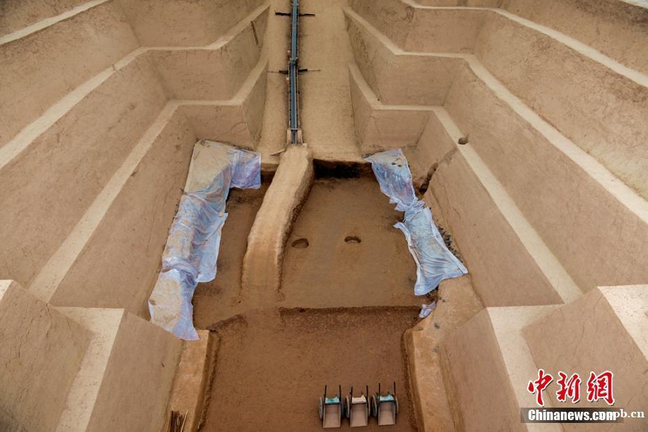 秦始皇陵陵西发现大型墓葬,出土珍贵金骆驼