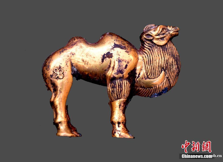 秦始皇陵陵西发现大型墓葬,出土珍贵金骆驼