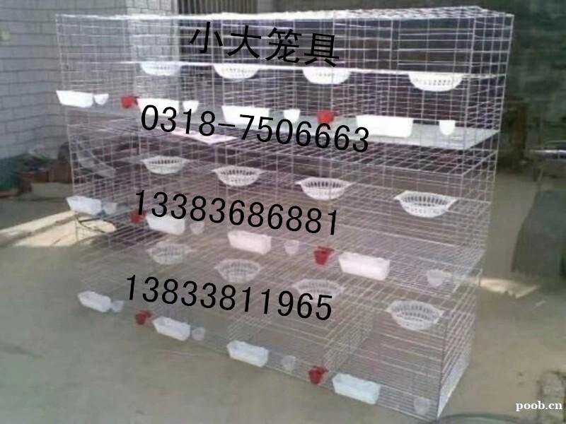 生产鸽子笼 兔子笼 鸡笼 鹌鹑笼 狐狸笼 鹧鸪笼 宠物笼 运