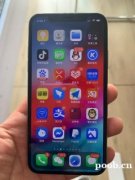 苹果Iphonex银白256G，型号NQA92CH/A